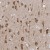 Immunohistochemistry-Paraffin: AADACL1 Antibody [NBP1-90294] - Immunohistochemical staining of human hippocampus shows strong cytoplasmic positivity in neuronal cells.